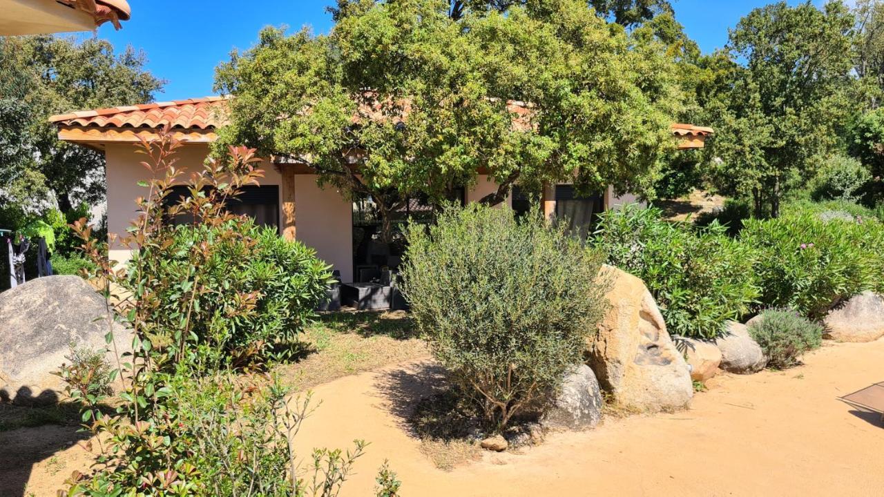 Villa Lantana *